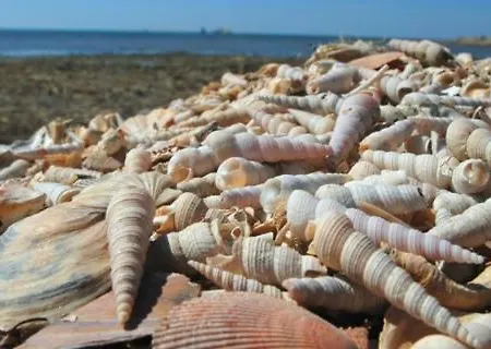 Appartement Apartma Vitamia