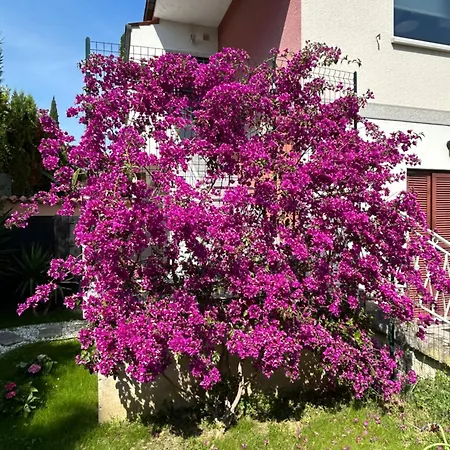 Apartma Vitamia Ankaran