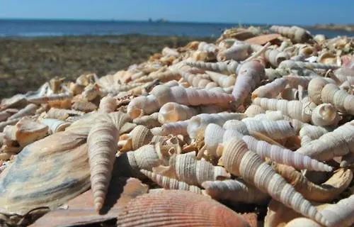 Appartement Apartma Vitamia