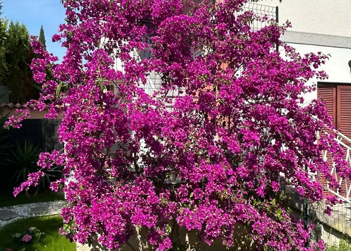 Apartma Vitamia Ankaran